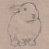 buns