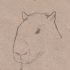 capybaras