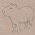 capybaras