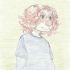 setter